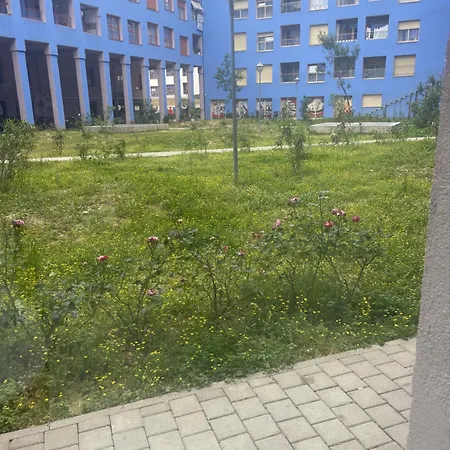 Sunflower Apartment *